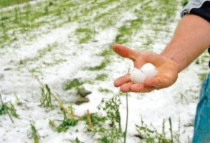 Στα σκαριά νέο Μέτρο 23 για τα έτη 2025 και 2026