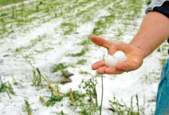 Στα σκαριά νέο Μέτρο 23 για τα έτη 2025 και 2026