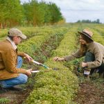 Η Περιφέρεια Θεσσαλίας συγκροτεί επιτροπή για αγρότες, νέους γεωργούς και εργάτες γης • Έλληνας Αγρότης