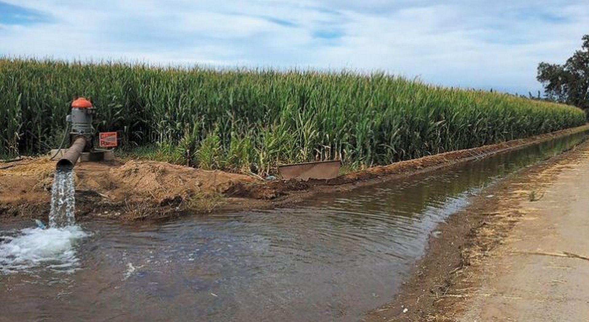 Θεσσαλοί παραγωγοί ζητούν παράταση του προγράμματος για τη νιτρορύπανση • Έλληνας Αγρότης