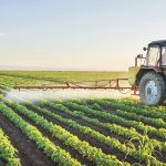 sto-982-i-symmorfosi-se-elegchous-fytoprostateftikon-sta-trofima-symfona-me-to-ypaat-239011