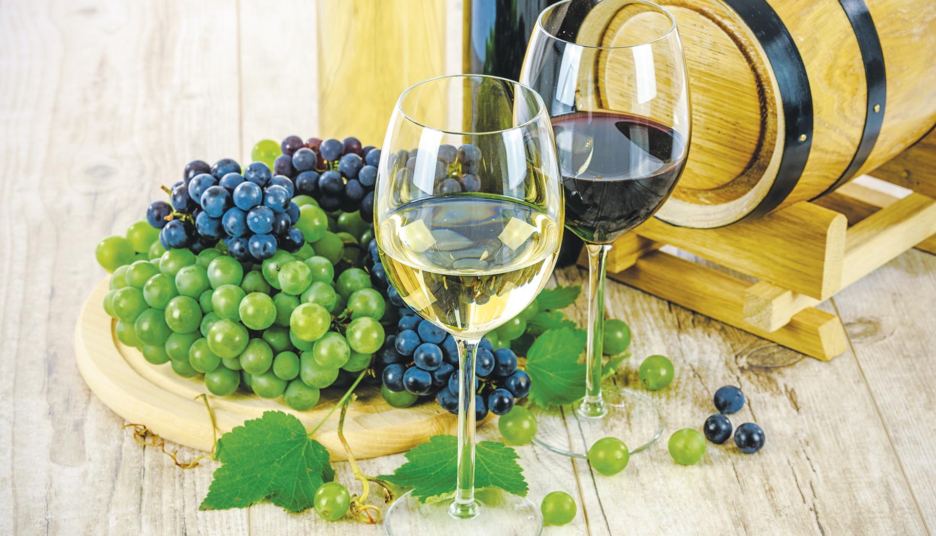 Οι Ευρωβουλευτές προσπαθούν να μετριάσουν την κρίση στον αμπελοοινικό τομέα • Έλληνας Αγρότης