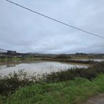 Zημιές σε δρόμους και καλλιέργειες σε κοινότητες της Ολυμπίας