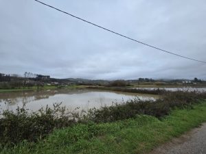 Zημιές σε δρόμους και καλλιέργειες σε κοινότητες της Ολυμπίας