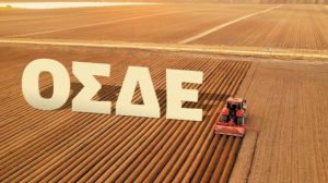 Ανοίγει το ΟΣΔΕ για διορθώσεις σφαλμάτων στην Ενιαία Αίτηση Ενίσχυσης 2024 και 2025