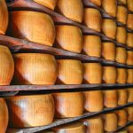 Οι «χαμηλές πτήσεις» γαλακτοκομικών και κρέατος έριξαν το δείκτη FAO τον Ιανουάριο 2026