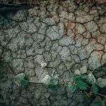 Ηλεκτροχημική εξυγίανση εδάφους