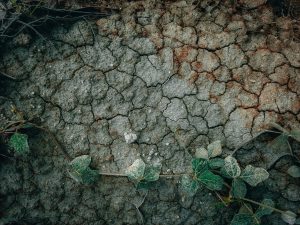 Ηλεκτροχημική εξυγίανση εδάφους