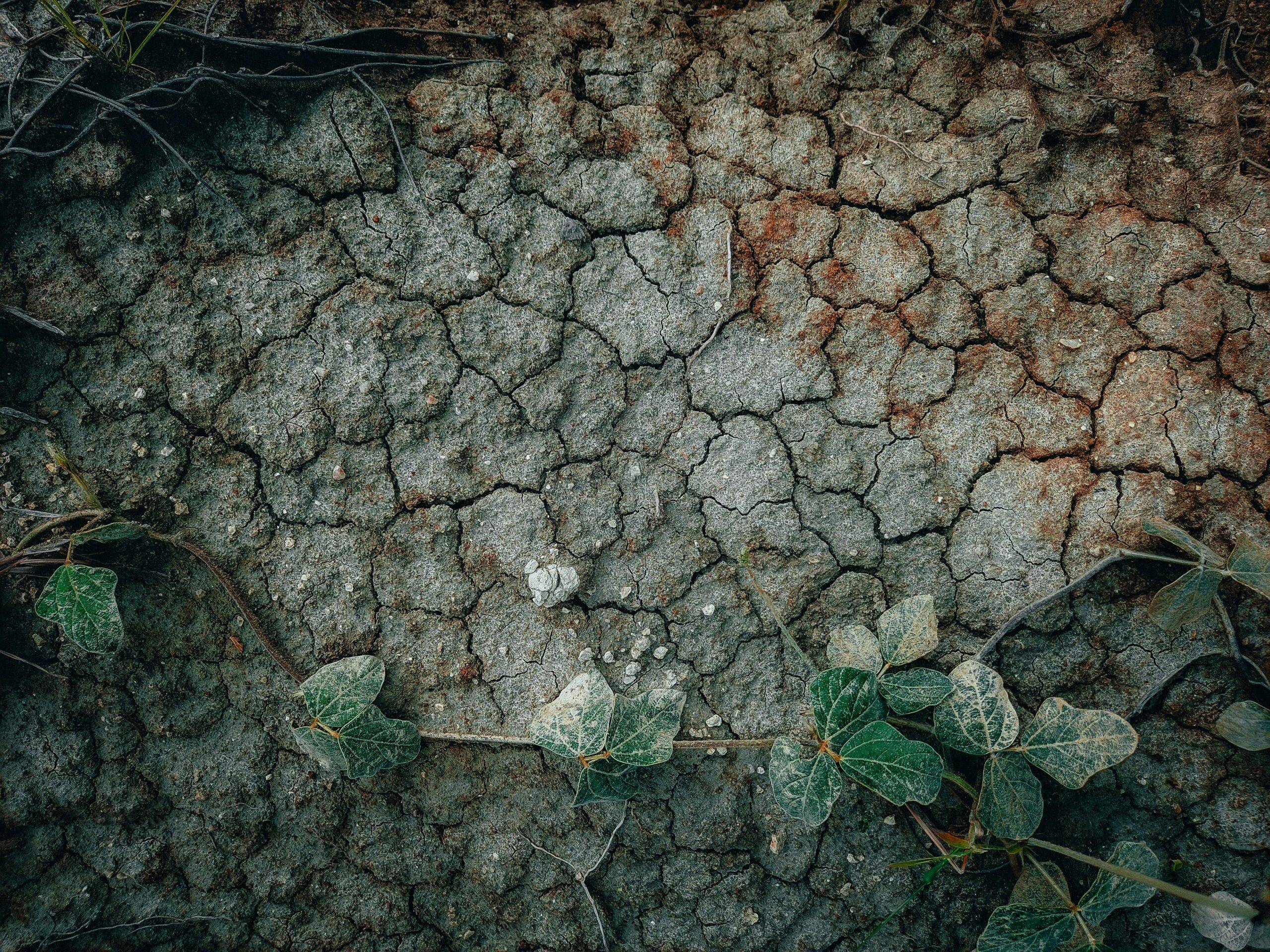 Ηλεκτροχημική εξυγίανση εδάφους