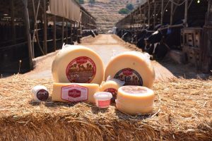 «Σφραγίδα ποιότητας» το Crystal Taste Awards για την Γραβιέρα Νάξου ΠΟΠ Πιτταρά 12μηνης ωρίμανσης