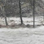 ΓΕΩΤΕΕ: «Αττική και πλημμύρες - Η διαχρονική αποτυχία της πρόληψης παρά την επιστημονική τεκμηρίωση»