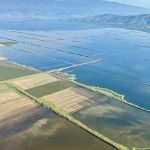 paratasi-diorthoseon-sta-yellow-tou-monitoring-logo-vrochon-zitoun-oi-paragogoi-323278