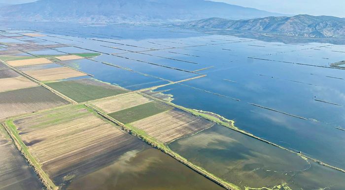 paratasi-diorthoseon-sta-yellow-tou-monitoring-logo-vrochon-zitoun-oi-paragogoi-323278