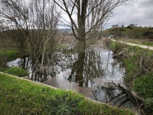Στο έλεος της βροχής η Ήπειρος – Χιλιάδες στρέμματα καλλιεργειών κάτω από το νερό