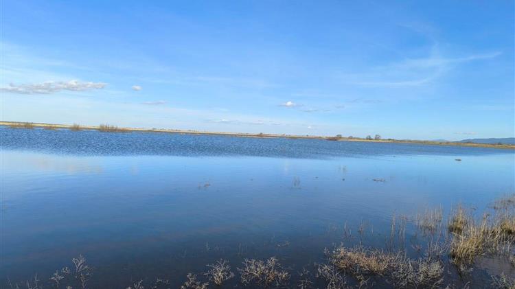 Έβρος: Αγροτικοί Σύλλογοι ζητούν εξαίρεση από AgriSnap λόγω πλημμυρών