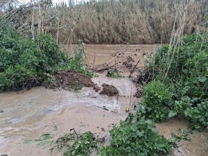 Προβλήματα από την κακοκαιρία και στην Καλαμάτα – Υπερχείλισε ο ποταμός Άρις