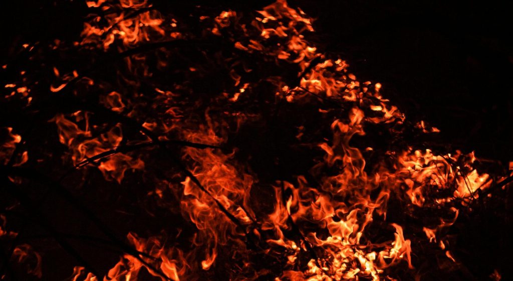 Αγρότες που επλήγησαν από πυρκαγιές το 2024 θα αποζημιωθούν από κρατική αρωγή (Έγγραφο) • Έλληνας Αγρότης