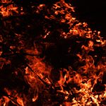 Αγρότες που επλήγησαν από πυρκαγιές το 2024 θα αποζημιωθούν από κρατική αρωγή (Έγγραφο) • Έλληνας Αγρότης