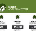Επείγον για εισοδηματική στήριξη στο ρύζι εκπέμπει η Χαλάστρα μετά το κραχ