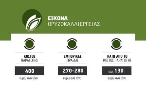 Επείγον για εισοδηματική στήριξη στο ρύζι εκπέμπει η Χαλάστρα μετά το κραχ