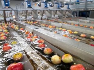 Με 12,εκατ. ευρώ συνεχίζεται η δράση «Συστήματα Ποιότητας Γεωργικών Προϊόντων και Τροφίμων»