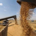 Συμφωνία ΗΠΑ–Μπανγκλαντές για αμοιβαίο εμπόριο με αγορές 3,5 δισ. δολαρίων σε αγροτικά προϊόντα