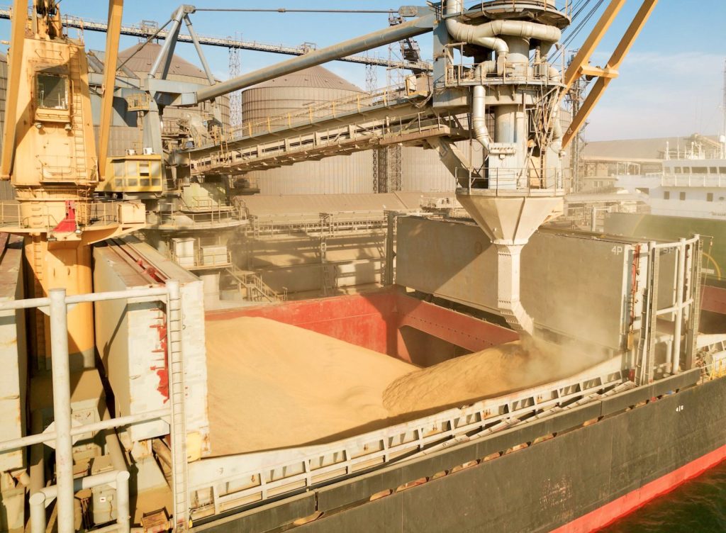 Εκτιμήσεις του IGC για υποχώρηση κατά 2% της παραγωγής σιταριού το 2026/27