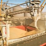 Εκτιμήσεις του IGC για υποχώρηση κατά 2% της παραγωγής σιταριού το 2026/27