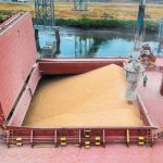 times-sitiron-en-anamoni-ton-apopsinon-ektheseon-tou-usda-310215