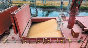 times-sitiron-en-anamoni-ton-apopsinon-ektheseon-tou-usda-310215