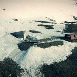 Σπόροι ελιάς κατατίθενται για πρώτη φορά στο Svalbard Global Seed Vault