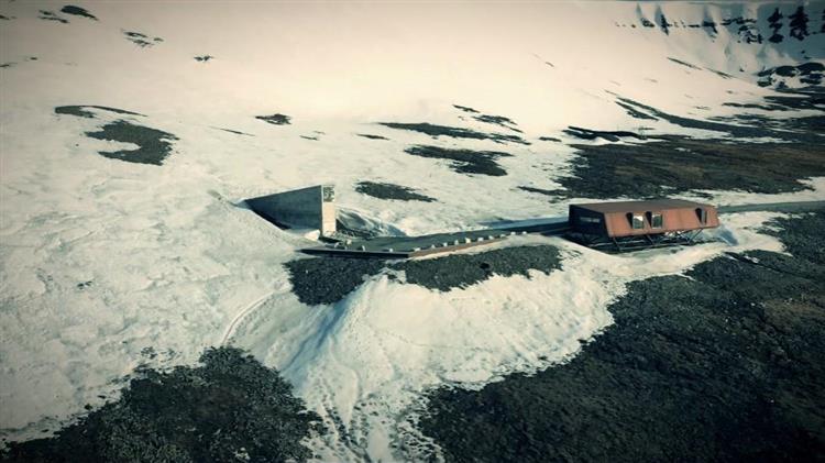 Σπόροι ελιάς κατατίθενται για πρώτη φορά στο Svalbard Global Seed Vault