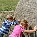 Το Ευρωκοινοβούλιο θωρακίζει τους αγρότες: Νέα μέτρα κατά των αθέμιτων εμπορικών πρακτικών