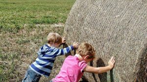 Το Ευρωκοινοβούλιο θωρακίζει τους αγρότες: Νέα μέτρα κατά των αθέμιτων εμπορικών πρακτικών