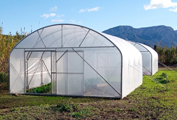 Η Πειραιώς στηρίζει το πρόγραμμα του ΥΠΑΑΤ για τα θερμοκήπια