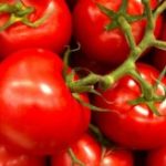 Κόβουν τιμές και στρέμματα τα εργοστάσια στη βιομηχανική τομάτα • Έλληνας Αγρότης