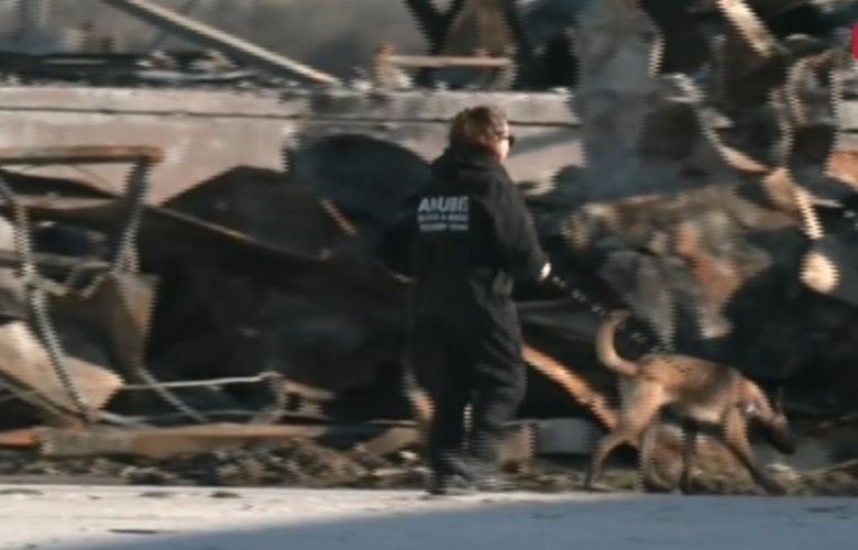 Με την βοήθεια εκπαιδευμένων σκύλων συνεχίζονται οι έρευνες στη «Βιολάντα» για τη φονική έκρηξη