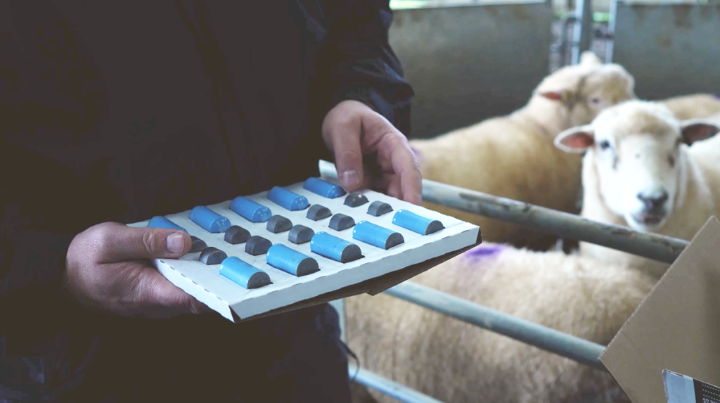 Ηλεκτρονική σήμανση ζώων: Προϋπόθεση για τους «βόλους» η διαλειτουργική βάση δεδομένων