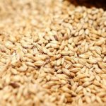 Πτώση έως 2,2% στα συμβόλαια σιταριού μετά το «ράλι» λόγω παγετού στις ΗΠΑ