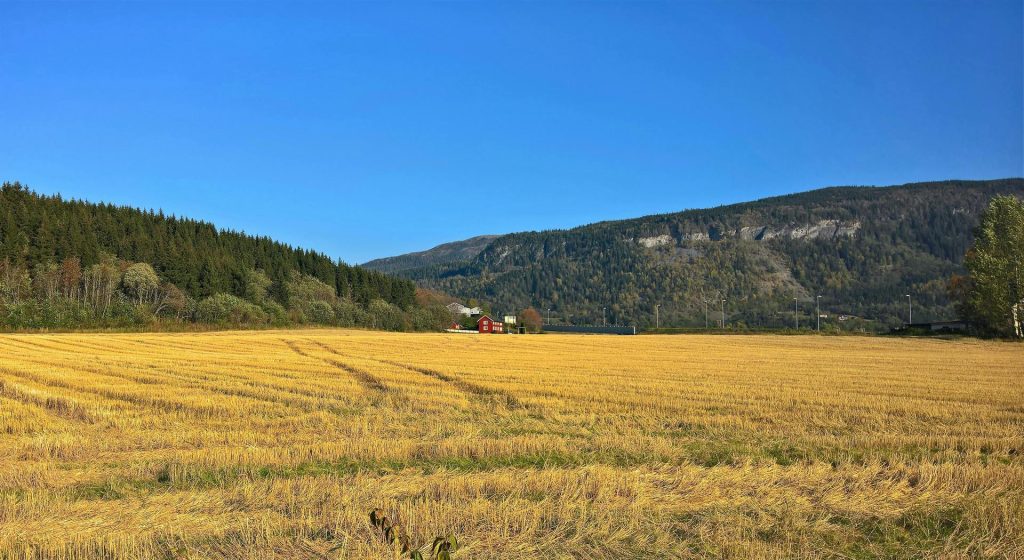 Τι πρέπει να κάνουν οι κάτοχοι αγροτεμαχίων που θεωρούνται ανταλλάξιμα με το Δημόσιο • Έλληνας Αγρότης