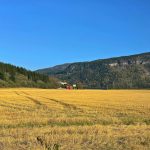 Τι πρέπει να κάνουν οι κάτοχοι αγροτεμαχίων που θεωρούνται ανταλλάξιμα με το Δημόσιο • Έλληνας Αγρότης