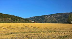 Τι πρέπει να κάνουν οι κάτοχοι αγροτεμαχίων που θεωρούνται ανταλλάξιμα με το Δημόσιο • Έλληνας Αγρότης