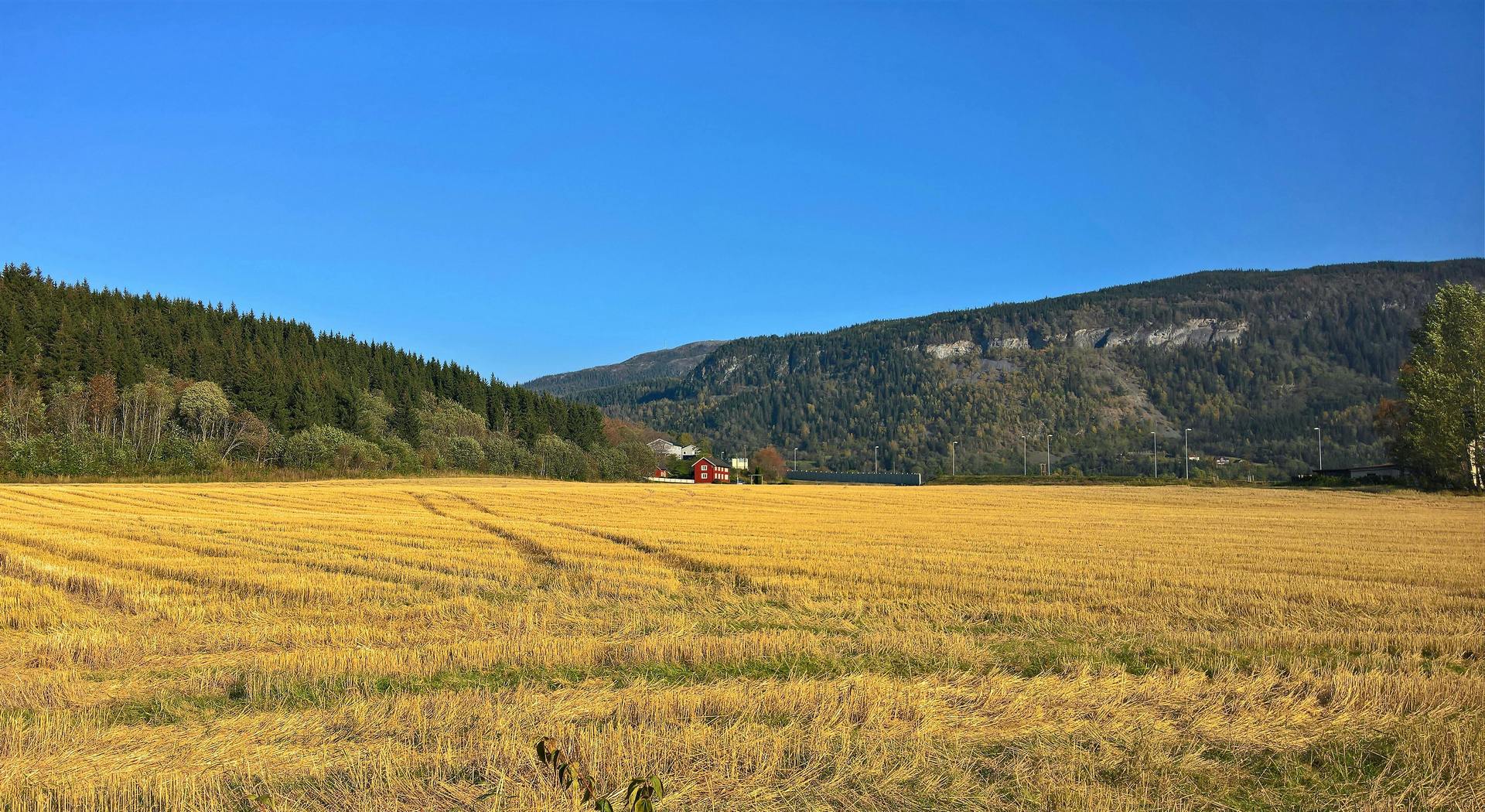 Τι πρέπει να κάνουν οι κάτοχοι αγροτεμαχίων που θεωρούνται ανταλλάξιμα με το Δημόσιο • Έλληνας Αγρότης