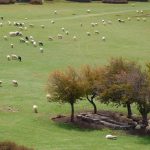 ΕΕΕΔΕΕ: «Το επόμενο τρίμηνο είναι το πλέον κρίσιμο»