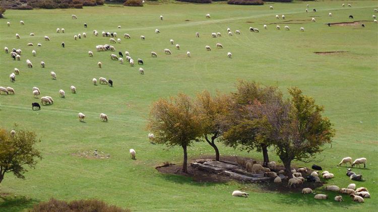ΕΕΕΔΕΕ: «Το επόμενο τρίμηνο είναι το πλέον κρίσιμο»