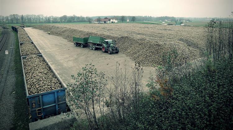 Τιμές ζάχαρης: Οι κερδοσκόποι διατηρούν την πίεση στην αγορά
