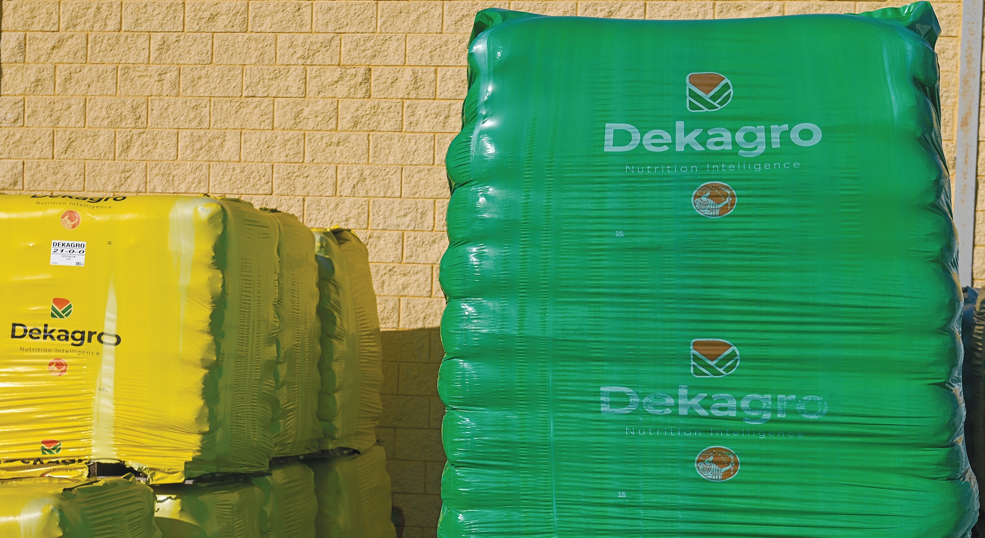 Οι πολύτιμοι σπόροι του Πελίτι για γεύση, ποικιλία και ανθεκτικότητα • Έλληνας Αγρότης