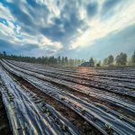 Ειδικό πρόγραμμα επιμόρφωσης για τα φαρμακευτικά & αρωματικά φυτά λανσάρει το Γ.Π.Α