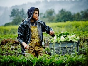 Παράταση ως 13 Μαρτίου για ανανέωση εγγραφής στο ΜΕΝΟ