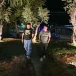 Αιωνόβιες ελιές επιστρατεύονται για την βελτίωση της ζωής ατόμων με αυτισμό